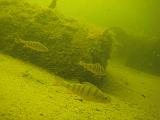 2009-08-01 16-29-33S